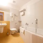 Ξενοδοχείο Mlyn 4*