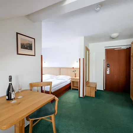 Hotel Mlyn 4*
