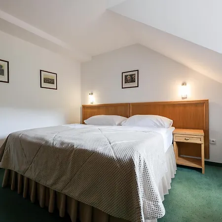 Hotel Mlyn