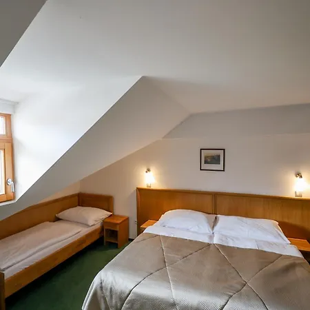 Hotel Mlyn 4*