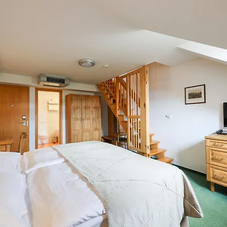 Hotel Mlyn