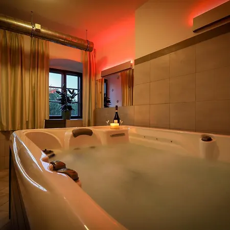 Hotel Mlyn 4*