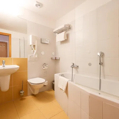 Hotel Mlyn 4*