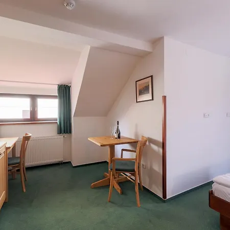 Hotel Mlyn
