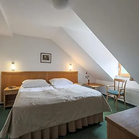 Mlýn Hotel 4*