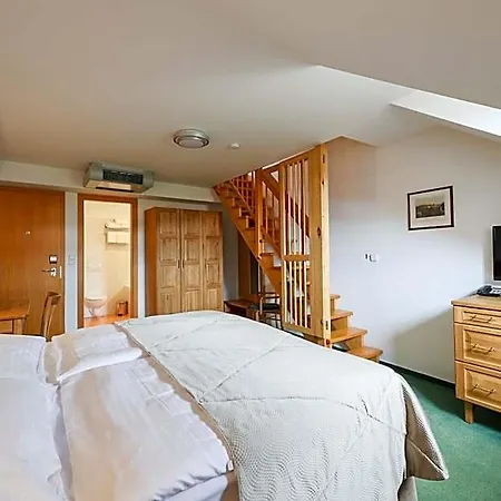Hotel Mlýn 4*