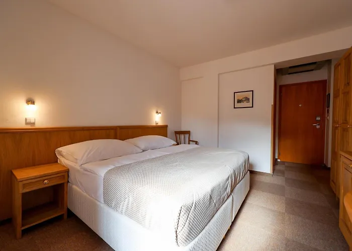 Mlyn Hotel 4*