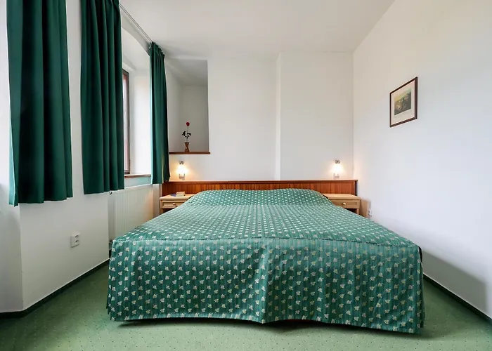 Mlyn Hotel