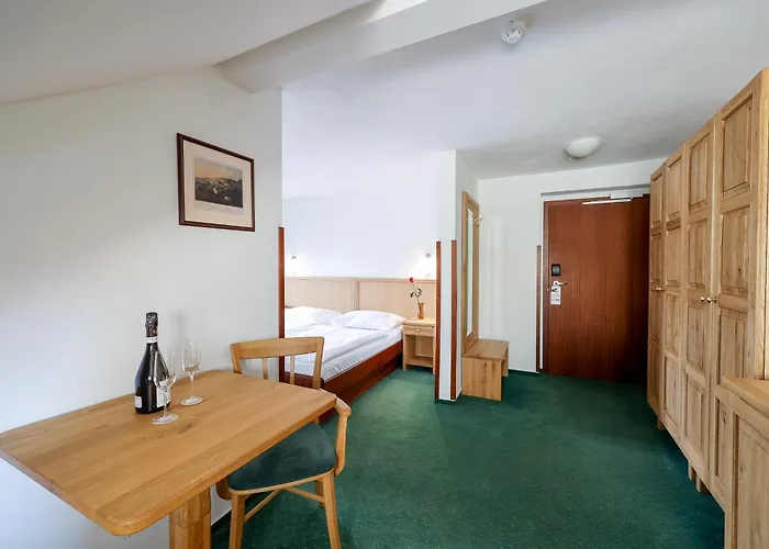 Hotel Mlyn 4*