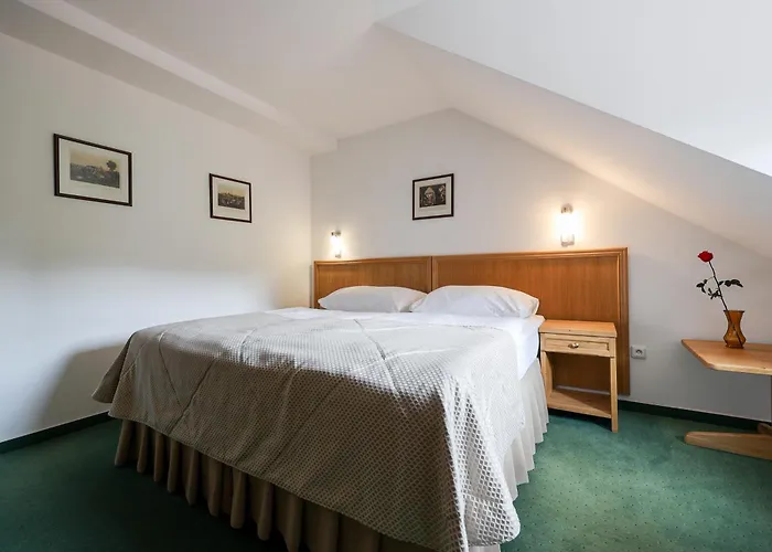 Hotel Mlyn
