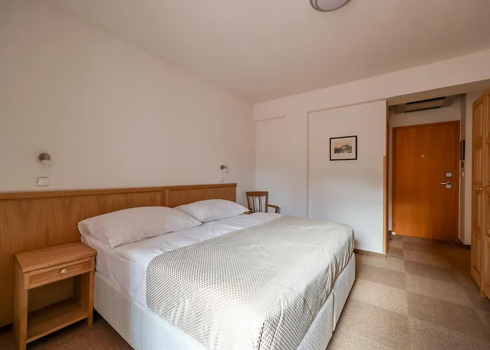 麦林酒店 酒店 4*