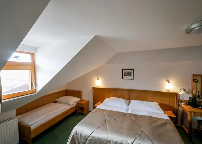 酒店 麦林酒店 4*