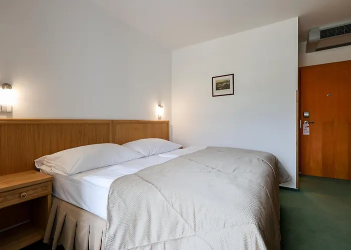 麦林酒店 酒店 4*