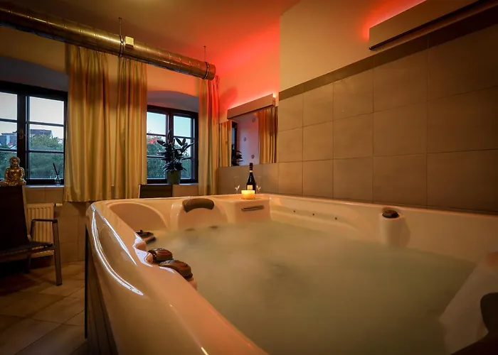 酒店 麦林酒店 4*