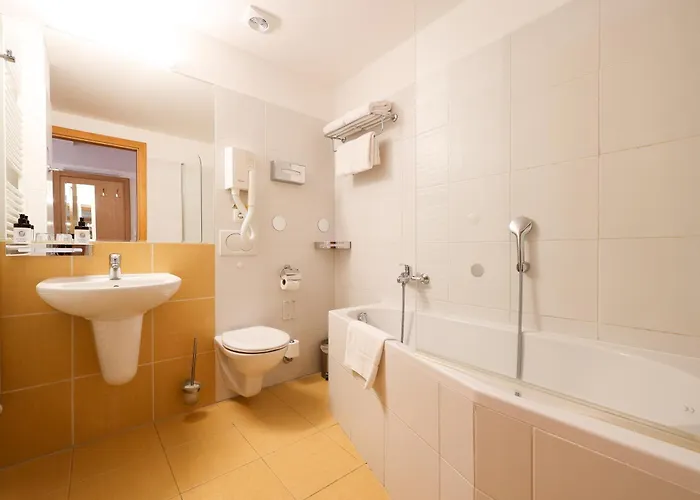 酒店 麦林酒店 4*