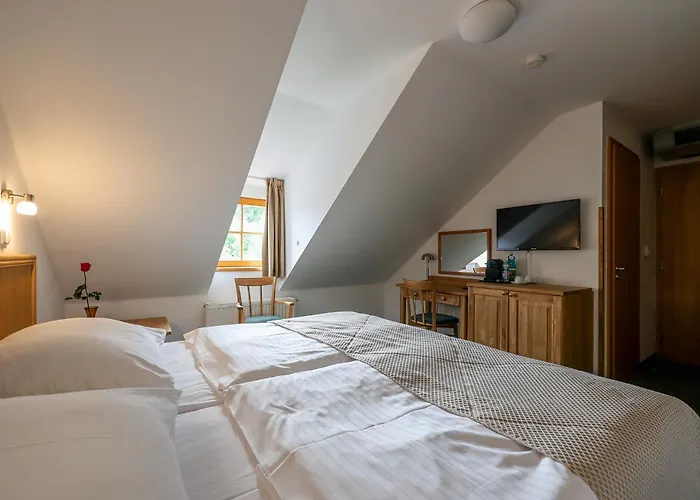 Mlyn Hotel