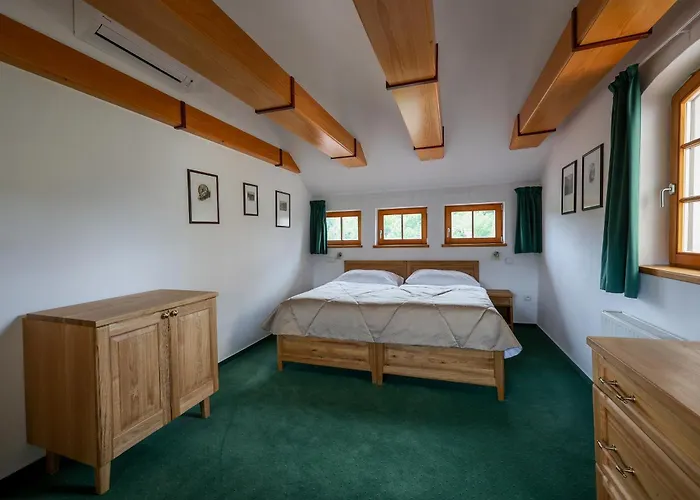 酒店 麦林酒店 4*