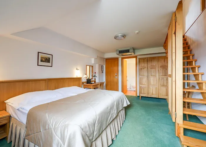Hotel Mlyn 4*