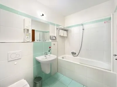 酒店 麦林酒店 4*